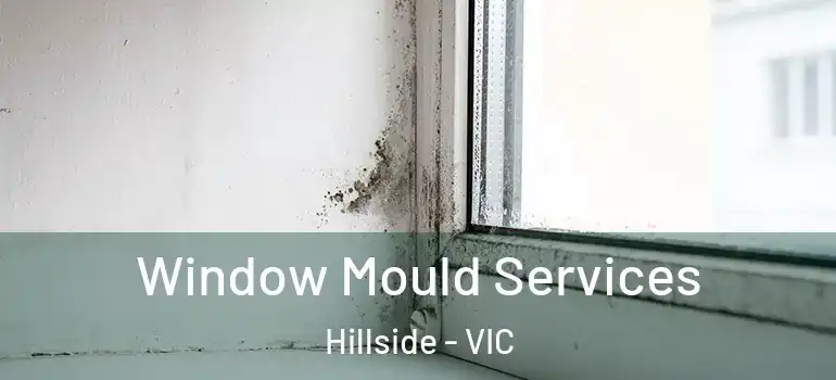 Window Mould Services Hillside - VIC