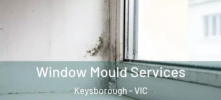 Window Mould Services Keysborough - VIC