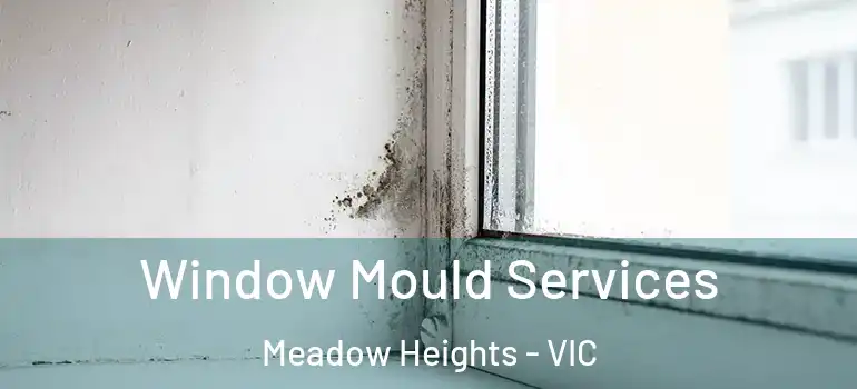 Window Mould Services Meadow Heights - VIC