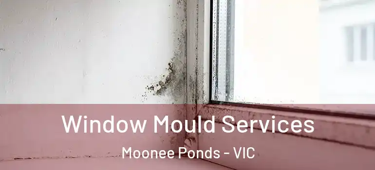 Window Mould Services Moonee Ponds - VIC
