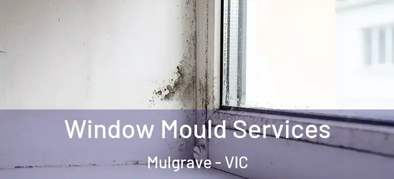 Window Mould Services Mulgrave - VIC