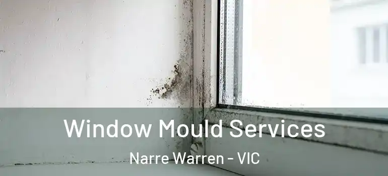 Window Mould Services Narre Warren - VIC