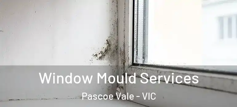 Window Mould Services Pascoe Vale - VIC