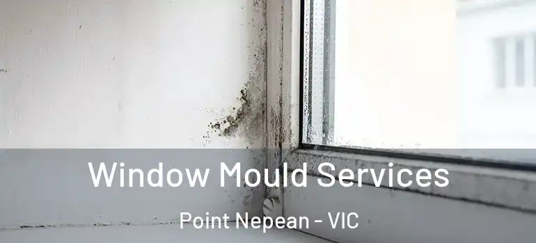 Window Mould Services Point Nepean - VIC