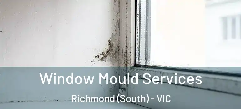 Window Mould Services Richmond (South) - VIC