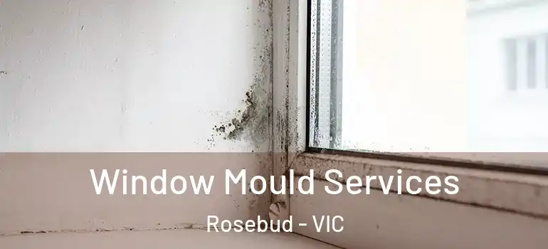 Window Mould Services Rosebud - VIC