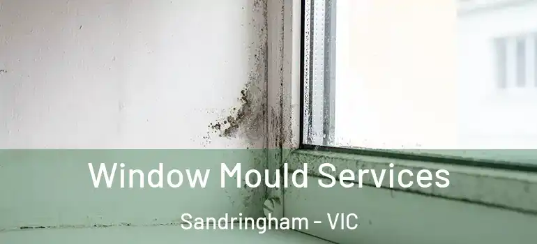Window Mould Services Sandringham - VIC