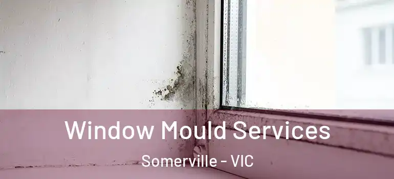 Window Mould Services Somerville - VIC