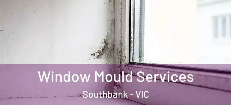 Window Mould Services Southbank - VIC