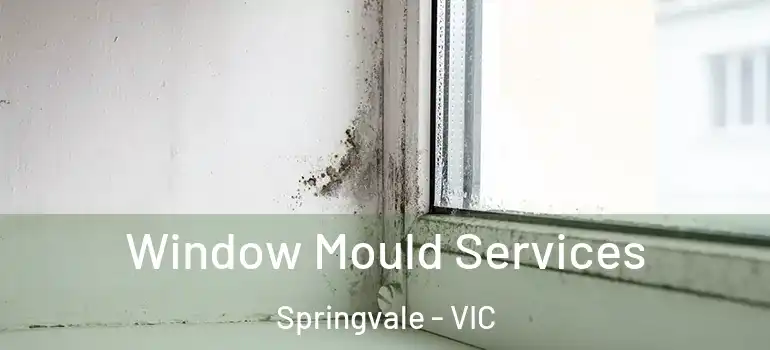 Window Mould Services Springvale - VIC