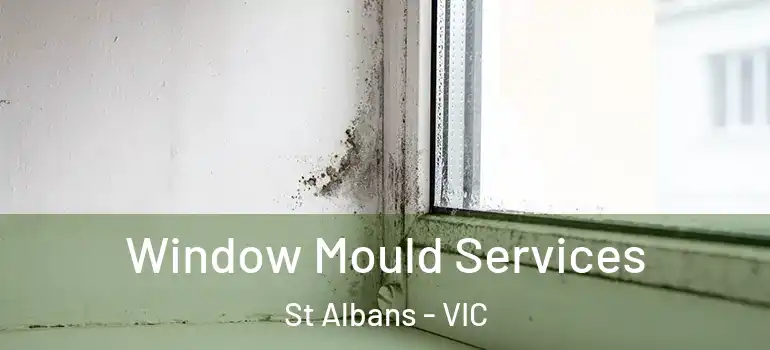 Window Mould Services St Albans - VIC