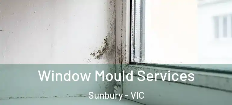 Window Mould Services Sunbury - VIC