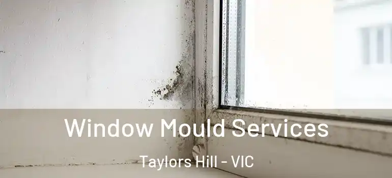 Window Mould Services Taylors Hill - VIC