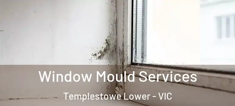  Window Mould Services Templestowe Lower - VIC