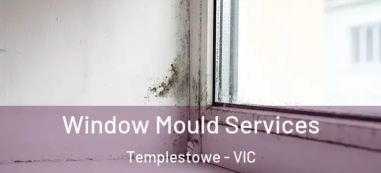 Window Mould Services Templestowe - VIC