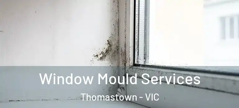 Window Mould Services Thomastown - VIC