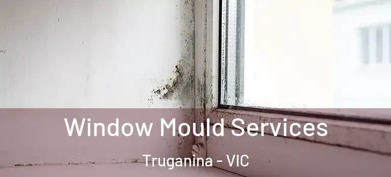 Window Mould Services Truganina - VIC