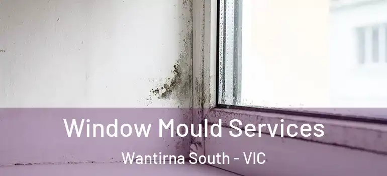 Window Mould Services Wantirna South - VIC
