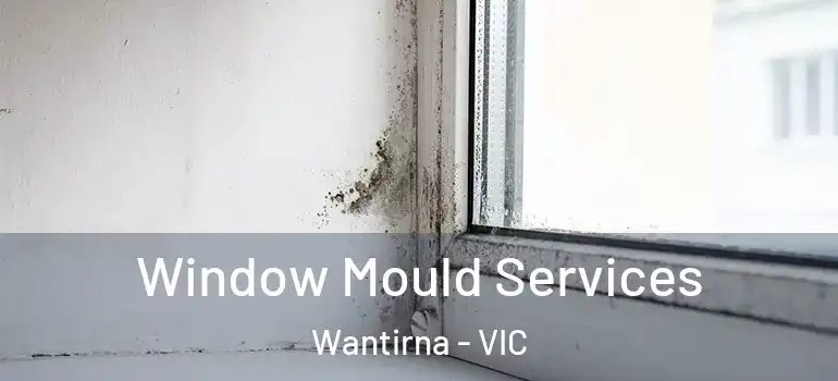 Window Mould Services Wantirna - VIC