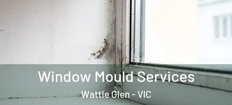 Window Mould Services Wattle Glen - VIC
