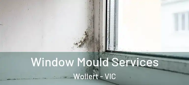 Window Mould Services Wollert - VIC