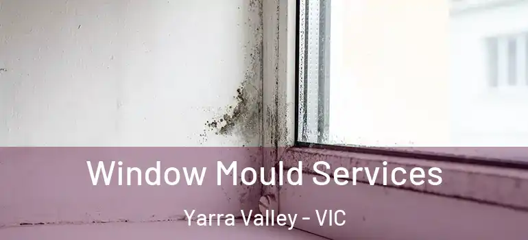  Window Mould Services Yarra Valley - VIC