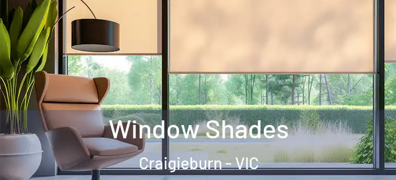  Window Shades Craigieburn - VIC