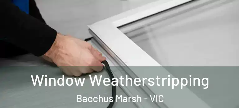  Window Weatherstripping Bacchus Marsh - VIC
