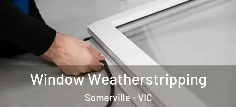  Window Weatherstripping Somerville - VIC