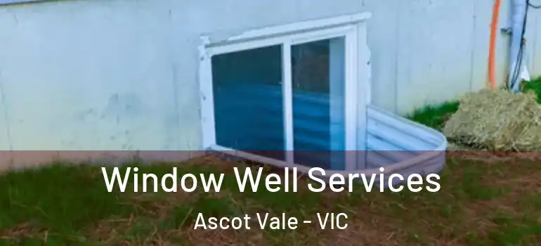 Window Well Services Ascot Vale - VIC