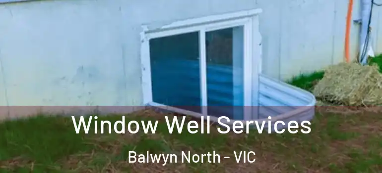 Window Well Services Balwyn North - VIC