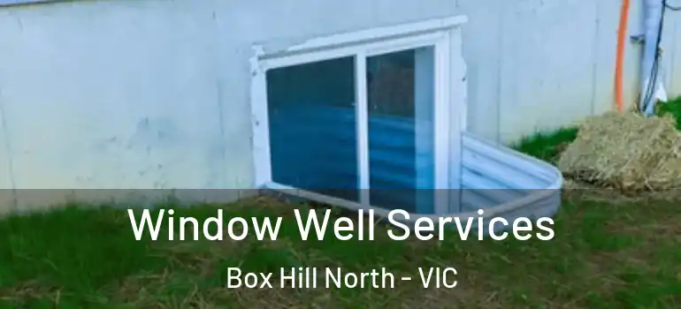 Window Well Services Box Hill North - VIC