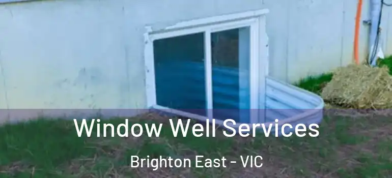 Window Well Services Brighton East - VIC