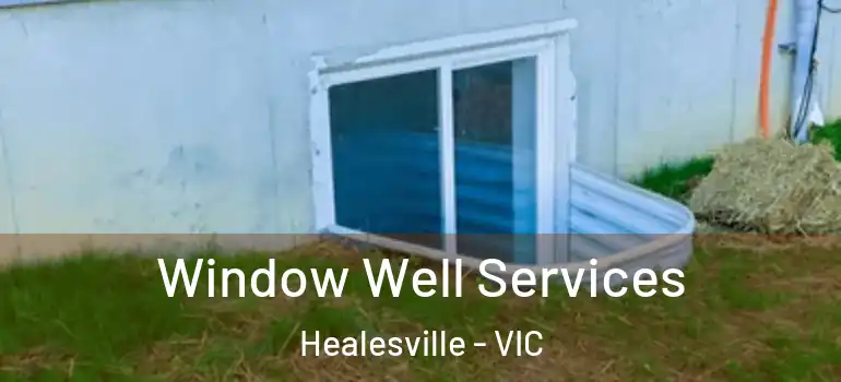 Window Well Services Healesville - VIC