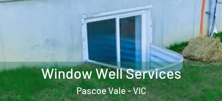  Window Well Services Pascoe Vale - VIC